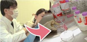 （皮肤采集）细胞培养、（血液采集）血小板浓